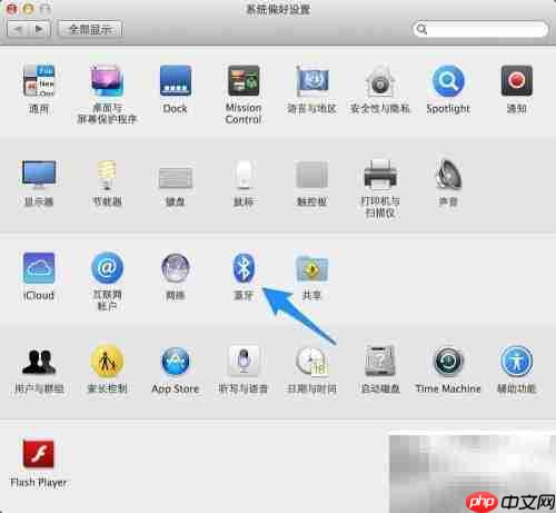 Magic Mouse 使用指南