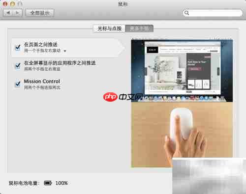 Magic Mouse 使用指南