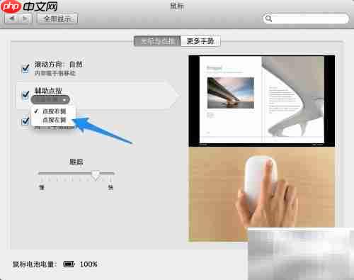 Magic Mouse 使用指南