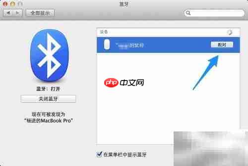Magic Mouse 使用指南