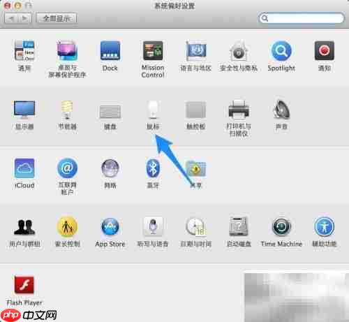 Magic Mouse 使用指南