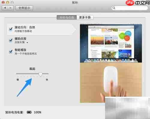 Magic Mouse 使用指南