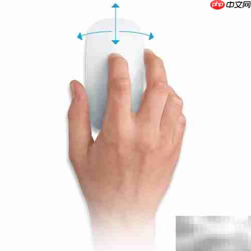 Magic Mouse 使用指南