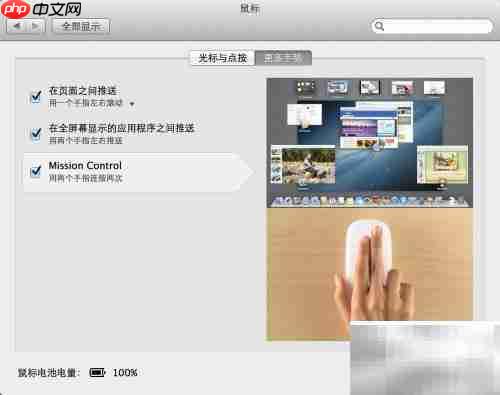 Magic Mouse 使用指南