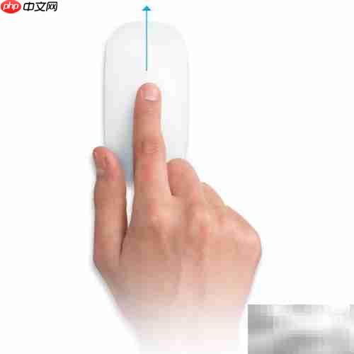 Magic Mouse 使用指南