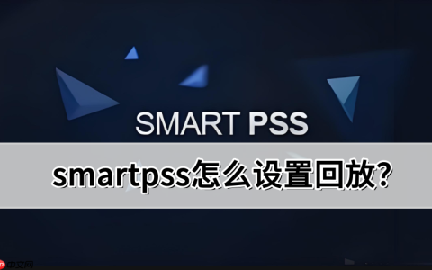smartpss怎么设置回放?smartpss设置回放的操作方法