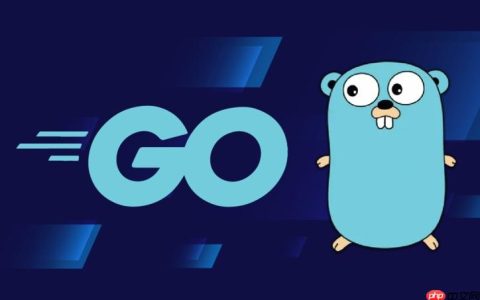 Golang类型断言如何区分接口中的值类型和指针类型