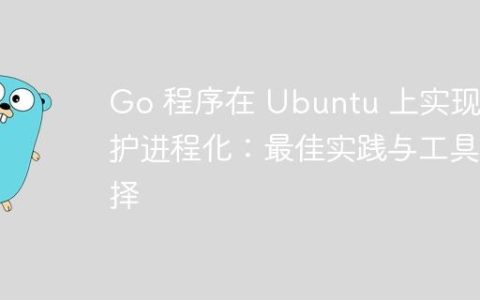 Go 程序在 Ubuntu 上实现守护进程化：最佳实践与工具选择