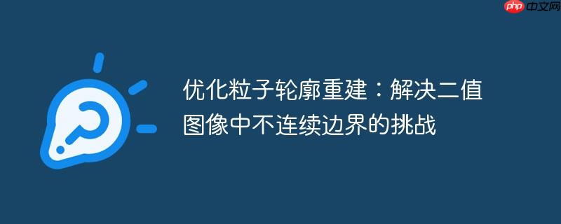 优化粒子轮廓重建:解决二值图像中不连续边界的挑战