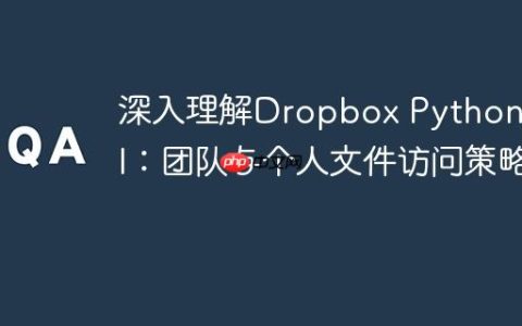 深入理解Dropbox Python API：团队与个人文件访问策略