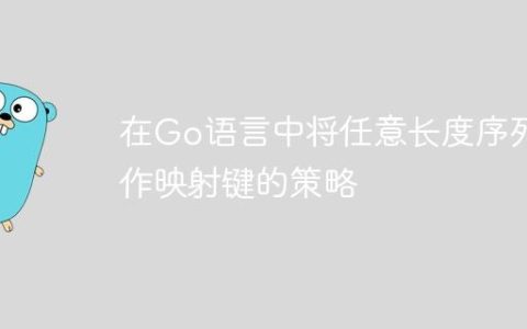 在Go语言中将任意长度序列用作映射键的策略