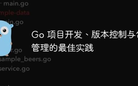 Go 项目开发、版本控制与包管理的最佳实践