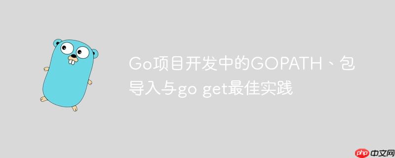 Go项目开发中的GOPATH、包导入与go get最佳实践