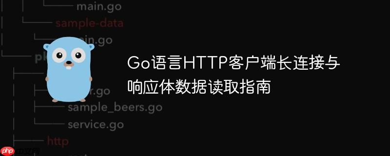 Go语言HTTP客户端长连接与响应体数据读取指南