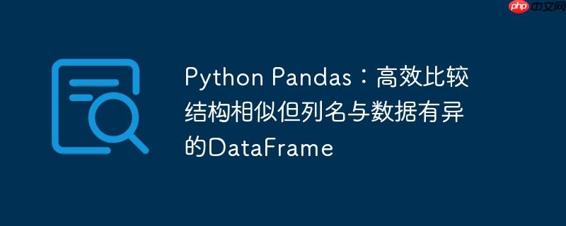 python pandas:高效比较结构相似但列名与数据有异的dataframe
