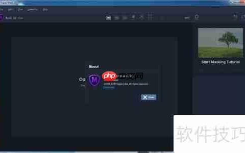Topaz Mask AI使用指南