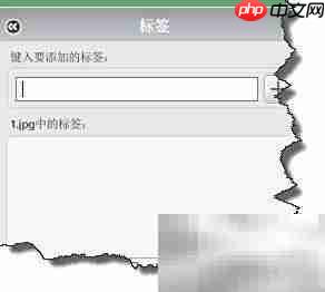 Picasa图片标记搜索技巧