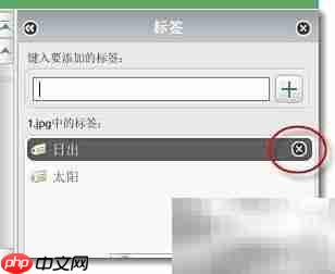Picasa图片标记搜索技巧