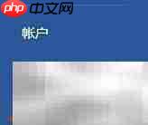 资源DLL无法加载
