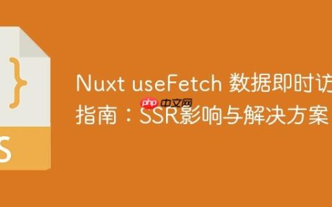 Nuxt useFetch 数据即时访问指南：SSR影响与解决方案