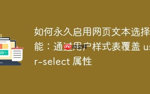 如何永久启用网页文本选择功能：通过用户样式表覆盖 user-select 属性