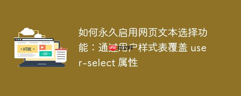 如何永久启用网页文本选择功能：通过用户样式表覆盖 user-select 属性