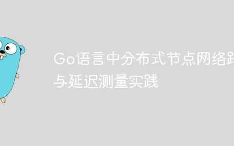 Go语言中分布式节点网络距离与延迟测量实践