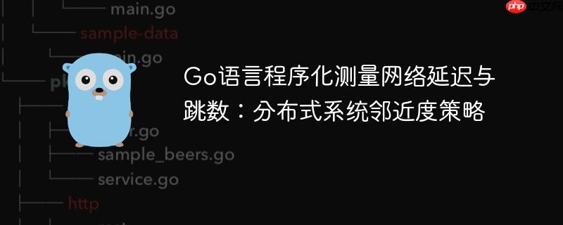 Go语言程序化测量网络延迟与跳数:分布式系统邻近度策略