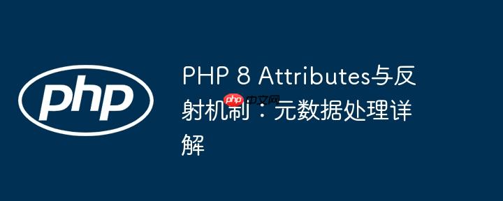 PHP 8 Attributes与反射机制:元数据处理详解