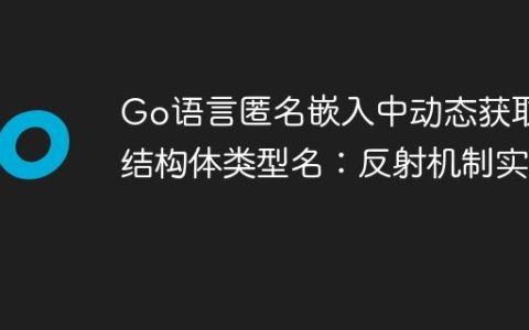 Go语言匿名嵌入中动态获取子结构体类型名：反射机制实践