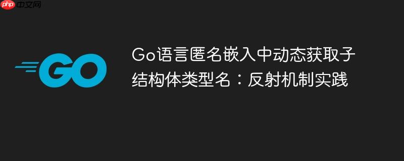Go语言匿名嵌入中动态获取子结构体类型名:反射机制实践
