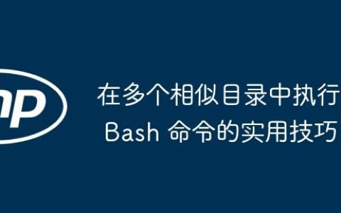 在多个相似目录中执行 Bash 命令的实用技巧