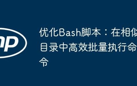 优化Bash脚本：在相似目录中高效批量执行命令