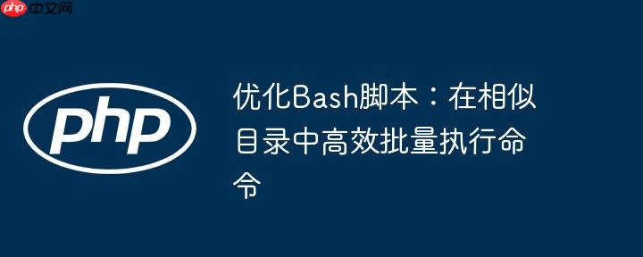 优化Bash脚本:在相似目录中高效批量执行命令