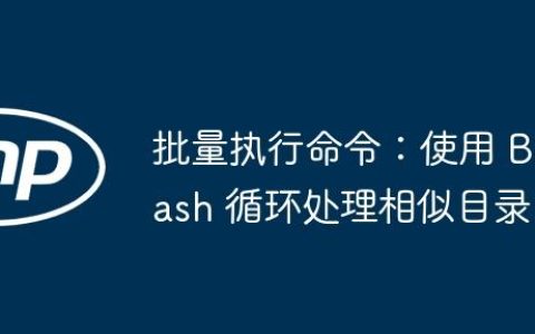 批量执行命令：使用 Bash 循环处理相似目录