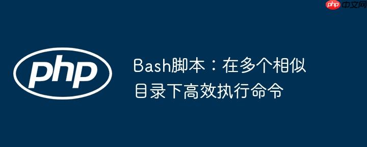 Bash脚本:在多个相似目录下高效执行命令