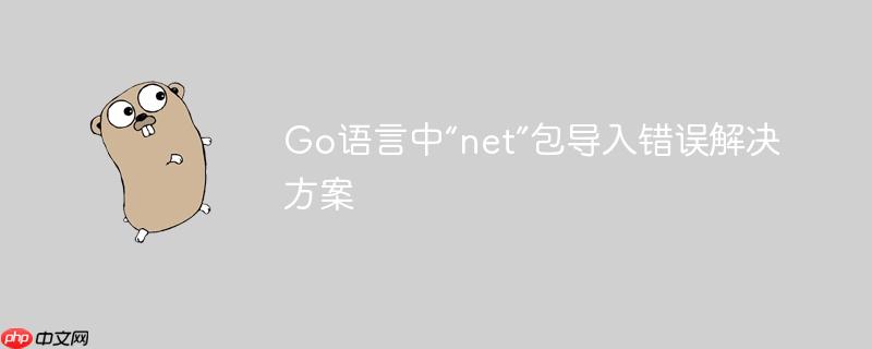 go语言中“net”包导入错误解决方案