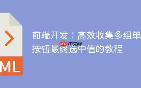前端开发：高效收集多组单选按钮最终选中值的教程