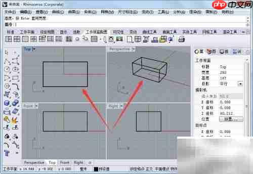 Rhinoceros缩放功能详解
