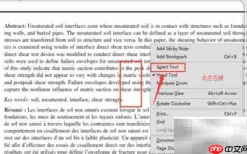 Adobe复制文字操作指南