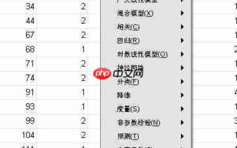 SPSS分析软件应用环境解析