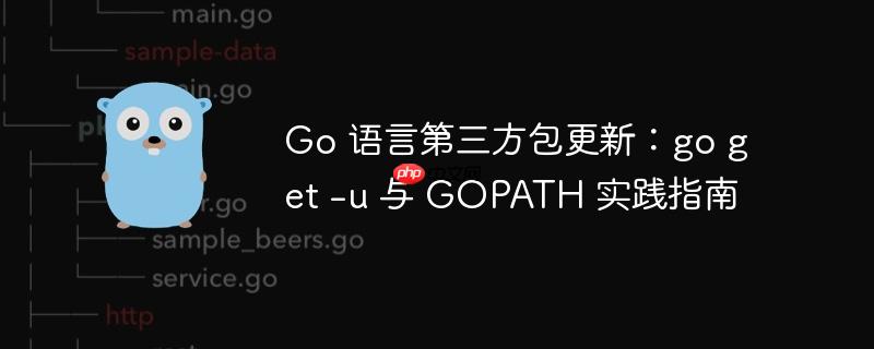 Go 语言第三方包更新:go get -u 与 GOPATH 实践指南