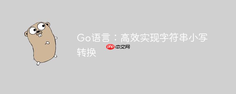 Go语言:高效实现字符串小写转换