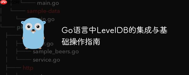 Go语言中LevelDB的集成与基础操作指南