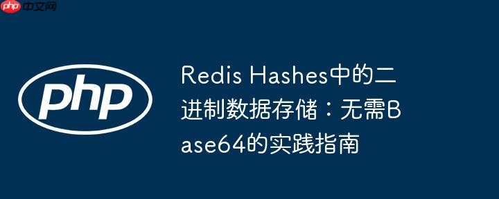 Redis Hashes中的二进制数据存储:无需Base64的实践指南