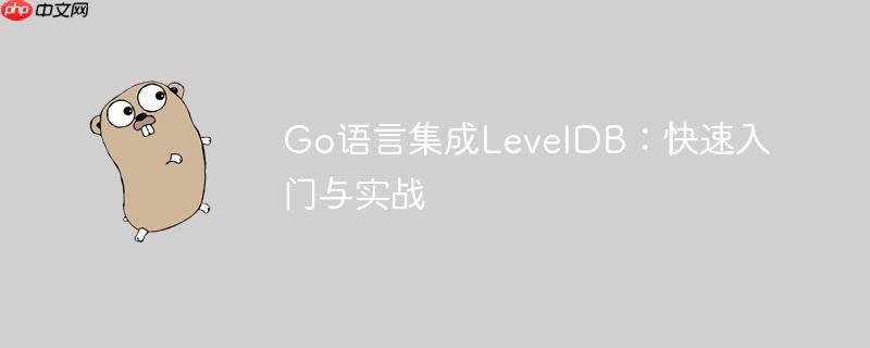Go语言集成LevelDB:快速入门与实战