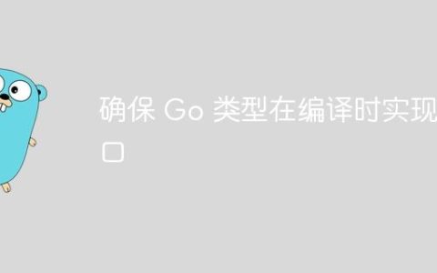 确保 Go 类型在编译时实现接口