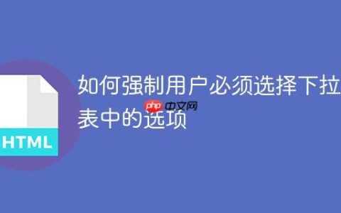 如何强制用户必须选择下拉列表中的选项