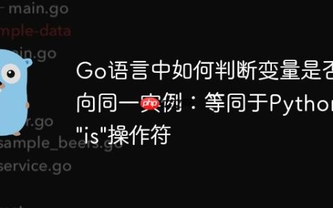Go语言中如何判断变量是否指向同一实例：等同于Python的"is"操作符