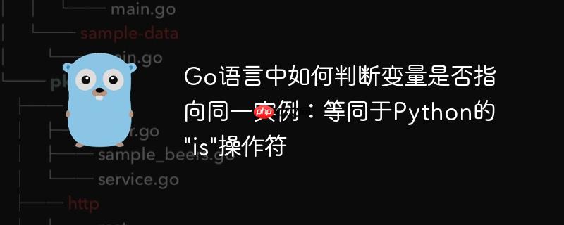 Go语言中如何判断变量是否指向同一实例:等同于Python的